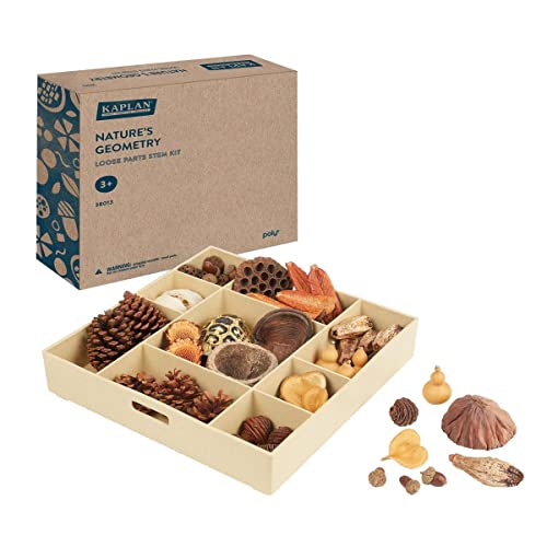 Kaplan Early Learning Company Nature's Geometry: Loose Parts STEM Kit
