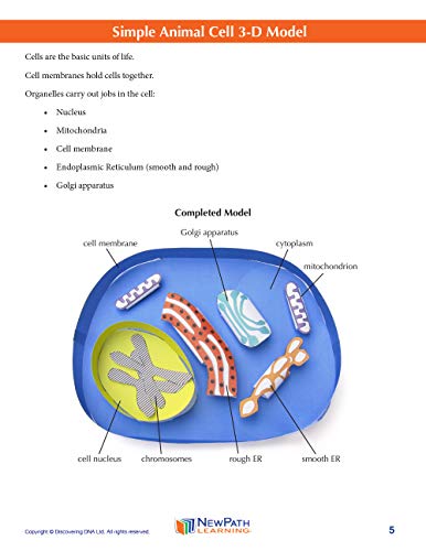 Simple Animal Cell 3-D Paper Model Making Kit - Individual Student Edition (17-7729)