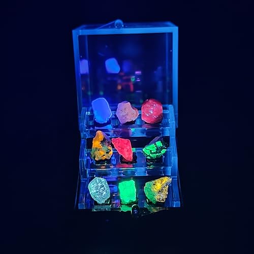 Naturally Fluorescent Mineral Specimens - Glowing Under UV - Rare Collectibles (Small) - size: Small