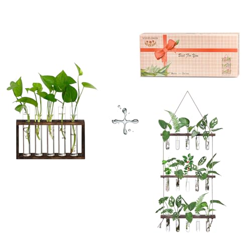 XXXFLOWER Wooden Stand with Test Tube Propagation Station Rack Desktop Hydroponics Terrarium Wall Terrarium for Home Office Plant Hanger Flower Vases Wall Decor Hydroponic Cuttings
