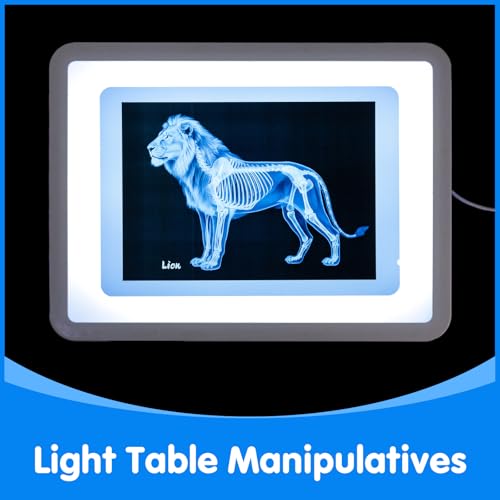15 Pcs Zoo Animal Xrays for Kids - Light Table Manipulatives - style: Zoo Series
