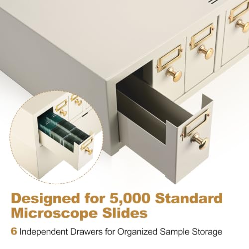 Microscope Slide Storage Cabinet, 6-Dual Slotted Drawers