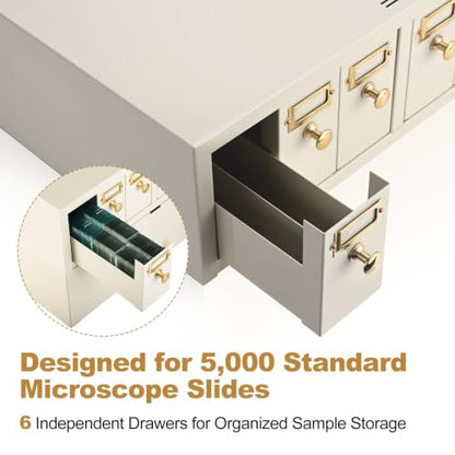 Microscope Slide Storage Cabinet, 6-Dual Slotted Drawers