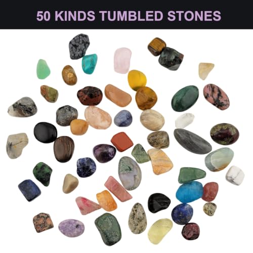 1200Pcs+ (5lb) Gemstones and Crystals Set,50Kinds+ Bulk Rocks and Minerals