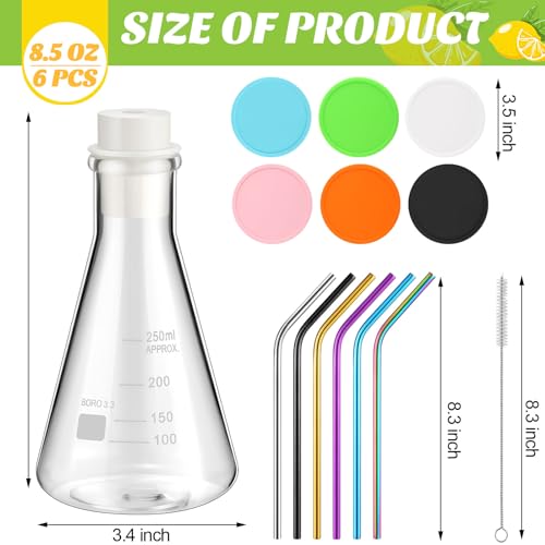 Copkim 25 Pcs Chemistry Flask Glasses, 6 Set 8.5 Oz,Lab Flask