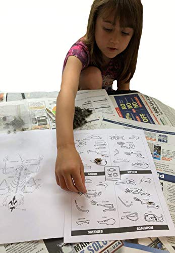 Young Scientist Series - Set 10: Seeds Fruits and Other Plant Parts (Kit 28) - Eggs (Kit 29) - Owls (Kit 30) - style: Set 10