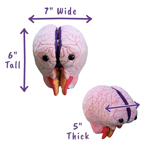GIANTmicrobes Brain Model Anatomy Plush with Embroidered Details