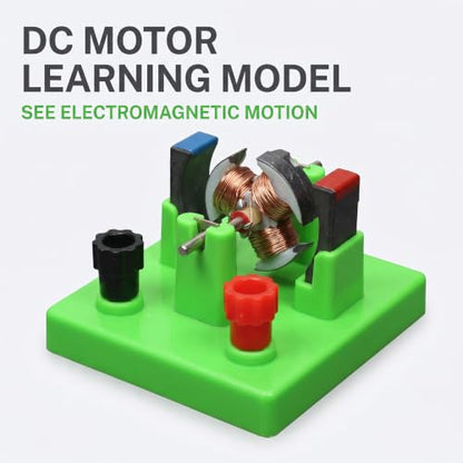 1Pc Green DIY DC Electrical Motor Assemble KIT - STEM Science Lab Educational Physics Learning Experiment Ornaments for Electrical Motor Light in Weight,Learning and Education(ZS584)