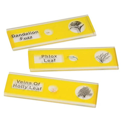 Prepared Microscope Slides for Kids – 12 Plastic Plant Specimens with Labels & Images – Safe, Durable Biology Science Kit for Students Ages 8+ - size: Plants - 12 pc
