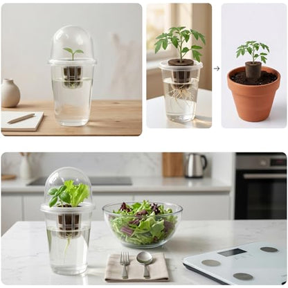 10 Set Seed Starter Cup Kit with Dome,Self Watering Propagation Cups