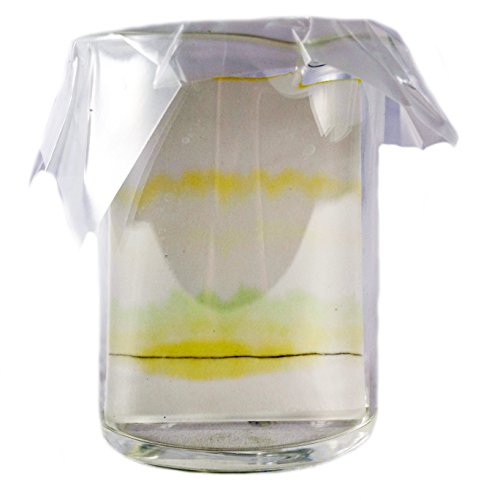 ALDON Innovating Science Chromatography of Plant Pigments Kit
