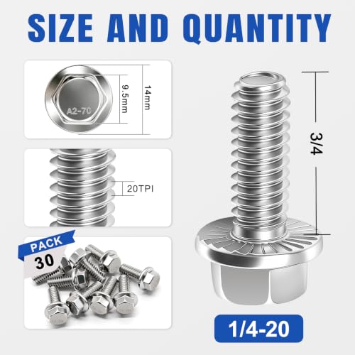 Taiss 30PCS 1/4-20 x 3/4 Flanged Hex Head Bolts 304 Stainless Steel,Flange Hexagon Screws Fully Threaded 1/4 Stainless Steel Bolts,1/4 Bolt - color: SS 1/4-20 x 3/4"