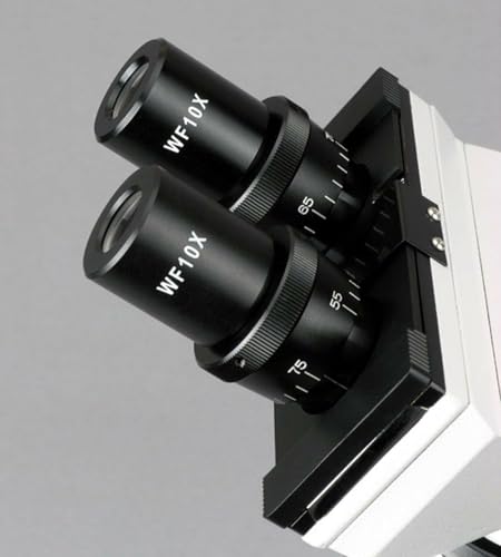 AmScope B100C-SP14-CLS-50P100S Binocular Biological Microscope 2500X