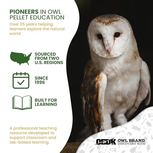 Barn Owl Pellets for Dissection for Classrooms, Medium 10-Pack Kit by OBDK - size: Medium (1.5 to 2.5 inches)