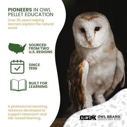 Barn Owl Pellets for Dissection for Classrooms, Medium 10-Pack Kit by OBDK - size: Medium (1.5 to 2.5 inches)