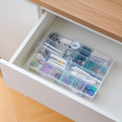 Vidifor Large 24 Grids Plastic Storage Container, Washi Tape Storage, Minifigure storage, Craft Storage, Fishing Tackle Boxes, Parts Storage Box with Dividers (1, Large)
