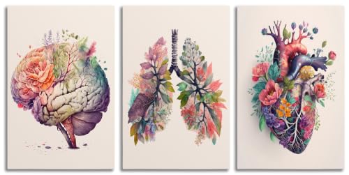 XCDVVAW 3Pcs Floral Anatomy Poster Wall Art Canvas Print Viscera Organs Heart Lungs Brain Painting Picture Wall Decor for Office Physician Doctor Nurse Gifts for Medical Clinic Hospital 16x24in - color: Flowers organs B, size: 24"L x 16"W