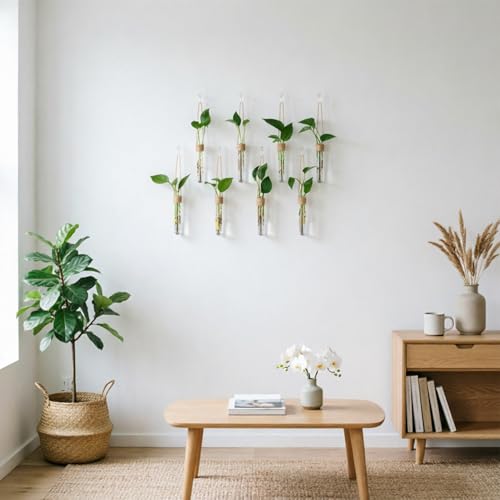 Bunmery 8 pcs Window Propagation Stations, Plastic Plant Propagation Tubes with Suction Cups & Traceless Nails, Easy to Install Window Wall Hanging Planter Terrarium Vase