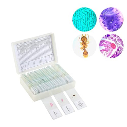 30 Prepared Microscope Slides with Specimens,Glass Slides for Microscope,Prepared Slides Microscope,Microscope Slide Preparation Kit for Biology Science Classes - size: 30 pcs