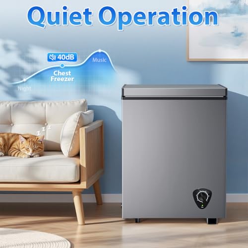 LifePlus Chest Freezer - 3.5 Cubic Feet Compact Deep Freezer Small Freezer 7 Adjustable Temperature with Removable Basket, Energy Saving Super Quiet for Garage, Office, Kitchen, or Apartment, Gray - color: Gray 1