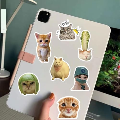 Feng Qi 100PCS Cute Cat Stickers, Funny Kitten Meme Stickers for Laptop Scrapbook Water Bottles Guitar Suitcase Journaling, Waterproof Vinyl Cat Decals for Teens Adults - color: Cat Meme