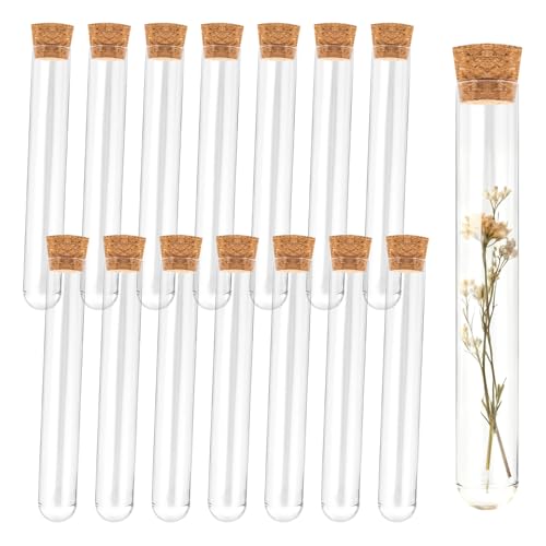 15Pcs Clear Plastic Test Tubes with Cork Stoppers 15x100mm 10ml – Transparent Vials with Seal Cap for Bath Salt, Candy, Beads, Powder, Spice, Liquid Storage, Party Favors, DIY Decoration, Lab Use - color: 15 pcs