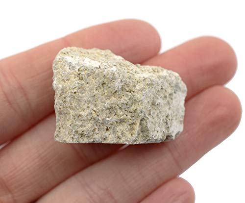 EISCO 12PK Raw Fossiliferous Limestone, Sedimentary Rock Specimens - Approx. 1" - Geologist Selected & Hand Processed - Great for Science Classrooms - Class Pack