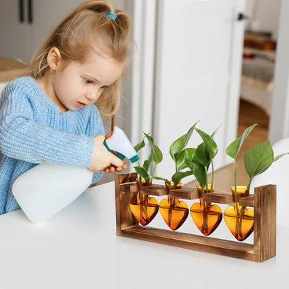 Plant Propagation Stations Heart Plant Terrarium Kit - color: Amber