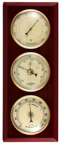 Ambient Weather YG315 Traditional Weather Station