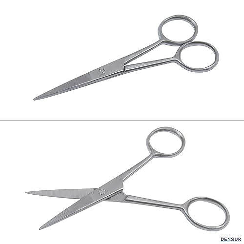 Dissection Kit for Biology Lab & Anatomy - Stainless Steel Scalpel Knife Set for Medical & Veterinary Students, KIT1023-7 Pcs - style: KIT1023 - 7 Pcs