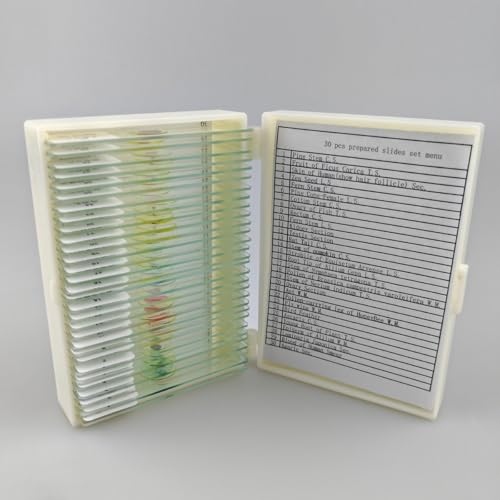 30 Pcs Microscope Slides Prepared Biology Specimen Lab Sample with Insects Plants Science Learning Home School