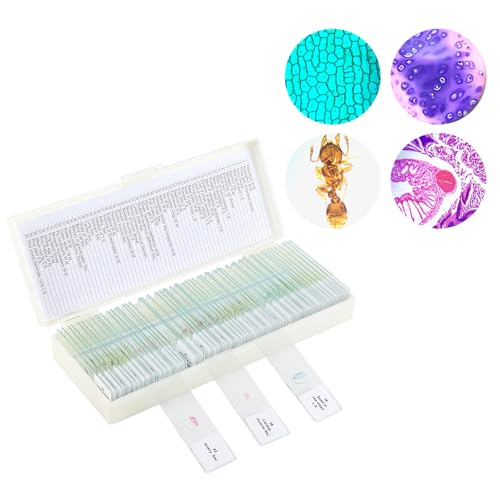 60 Microscope Slides with Specimens,Prepared Microscope Slides for Kids,Glass Slides for Microscope,Prepared Slides for Kids Microscope,Microscope Slide Preparation Kit for Biology Science Classes - size: 60 pcs