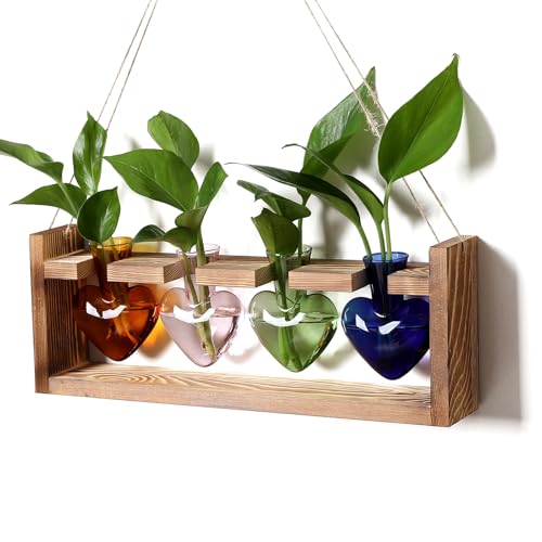 Plant Propagation Stations Heart Plant Terrarium Kit - color: Color02