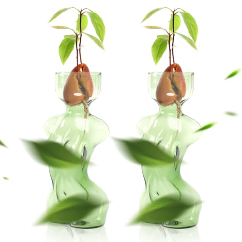 Plant Propagation Jars Unique Body Avocado Vase - color: Green