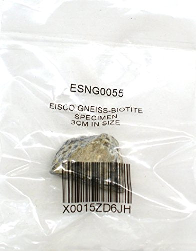 EISCO Biotite Gneiss Specimen (Metamorphic Rock), Approx. 1" (3cm)