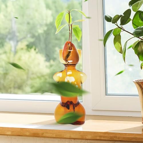 Plant Propagation Jars Unique Body Avocado Vase - color: Amber