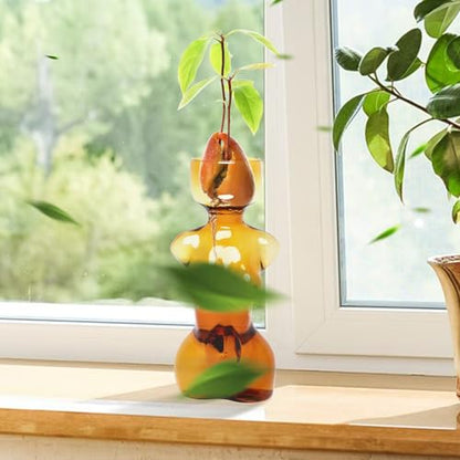 Plant Propagation Jars Unique Body Avocado Vase - color: Amber