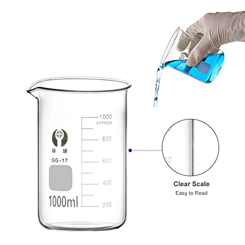 Glass Beakers Set 50/100/250/500/1000ml with 8Pcs Test Tubes