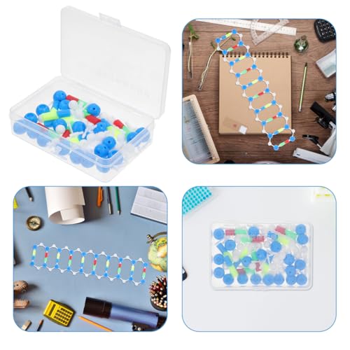 VOSAREA DNA Model Kit for Classroom Double Helix Molecular Model Kit for Teaching Genetics Structure Science Classroom Decor 1 Set
