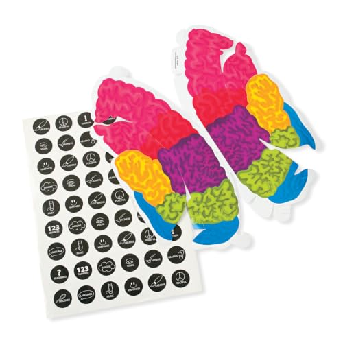 Fun Express Brain Hats for Teaching, Set of 12 Kits