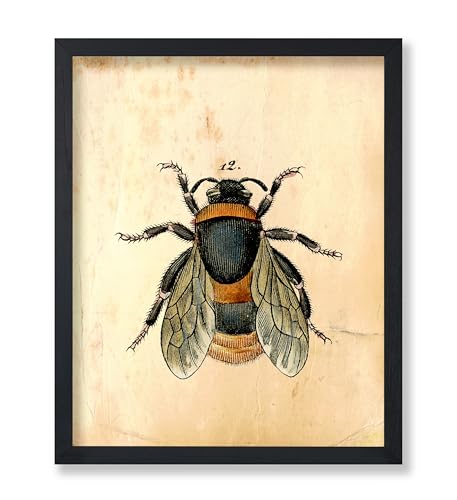 Poster Master Vintage Bee Poster - Retro Bumblebee Print - Entomology Art - Insect Art - Gift for Men, Women & Animal Lover - Minimal Decor for Living Room, Bedroom or Office - 8x10 UNFRAMED Wall Art - color: Style-12, size: 8"L x 10"W
