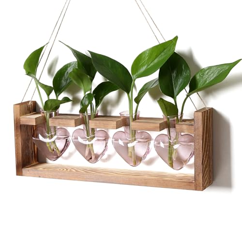 Plant Propagation Stations Heart Plant Terrarium Kit - color: Pink