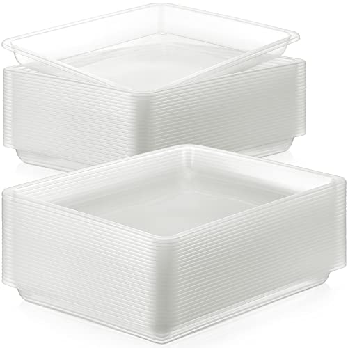 Maitys 24 Pcs Plastic Art Tray 11x8.7x1 Inch Activity Craft Tray,Clear - color: Clear