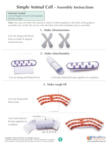 Simple Animal Cell 3-D Paper Model Making Kit - Individual Student Edition (17-7729)