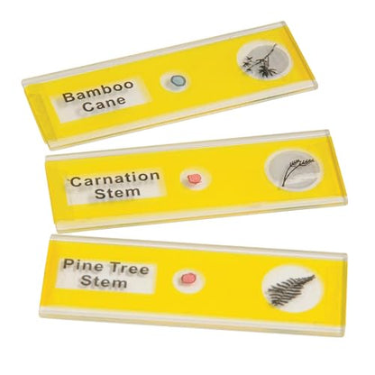 Prepared Microscope Slides for Kids – 12 Plastic Plant Specimens with Labels & Images – Safe, Durable Biology Science Kit for Students Ages 8+ - size: Plants - 12 pc