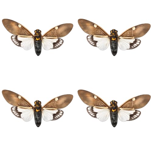 4 Real Cicada Specimens Mounted Insect Taxidermy Entomology Art VE77X4 - color: 4 Real Cicada #77