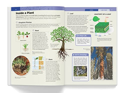 Knowledge Encyclopedia - Science (Knowledge Encyclopedia For Children)