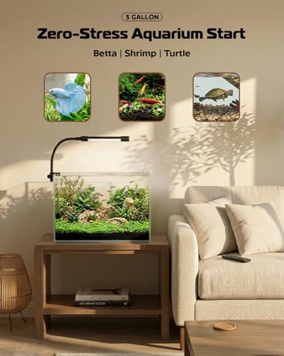 Glass Fish Tank Kit, 3 Gallon Betta Nano Fish Tank Aquarium Starter Kit - color: Transparent, size: 3 Gallon