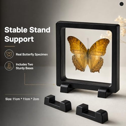 1pc Real Butterfly Specimen PE Film Suspension Box Transparent Floating Jewelry Box Style Display for Souvenir Art Collection (Vindula erota Butterfly) - color: Vindula Erota Butterfly