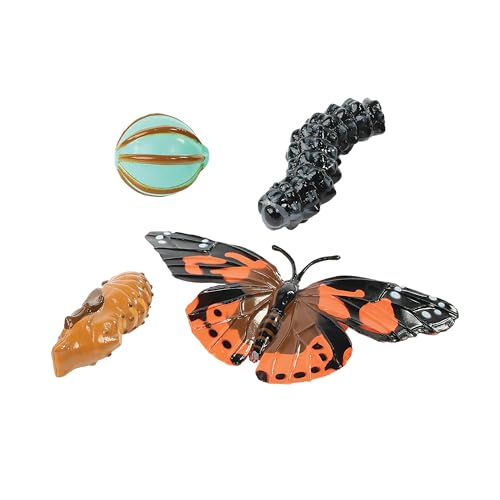 Butterfly Life Cycle Figurines | 4-Piece Educational Set – Stages of Butterfly Development – STEM Science Learning for Ages 4+ - style: Butterfly